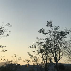 韩国三级电影中文字幕
