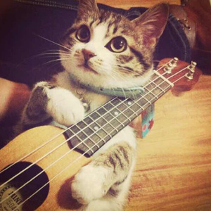 韩国三级电影中文字幕
